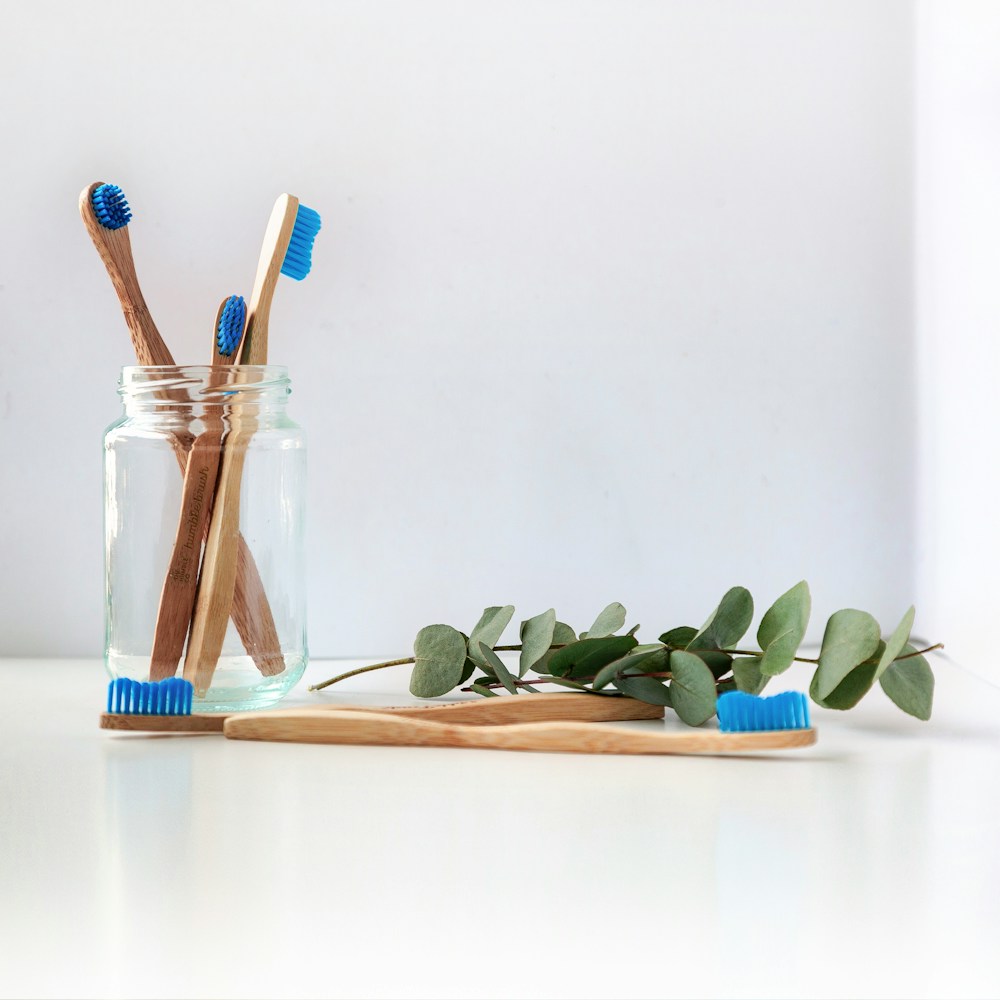 Bamboo toothbrushes and eucalyptus — prevention-first care